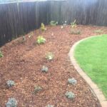 Planting area with forest mulch 2 - Lowerstoft