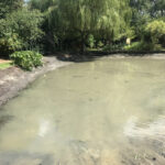 Pond water ready to be drained - Norfolk